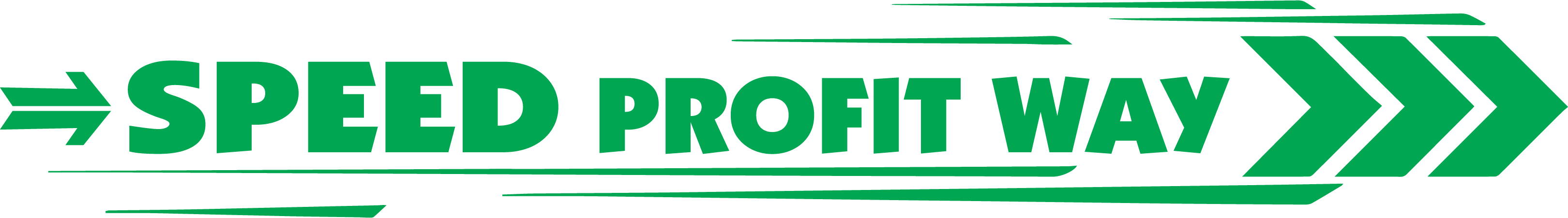 Speed Profit Way